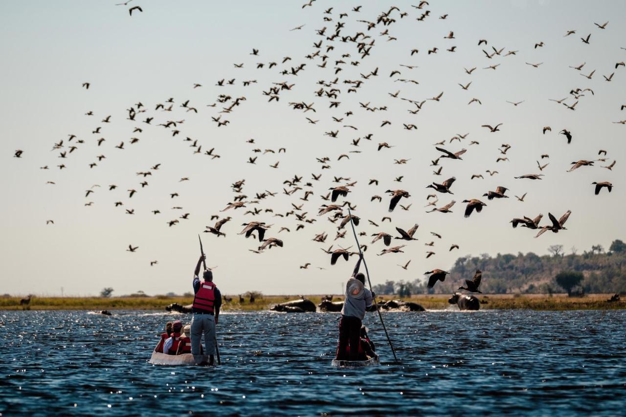Chobe Marina Lodge Касане Экстерьер фото