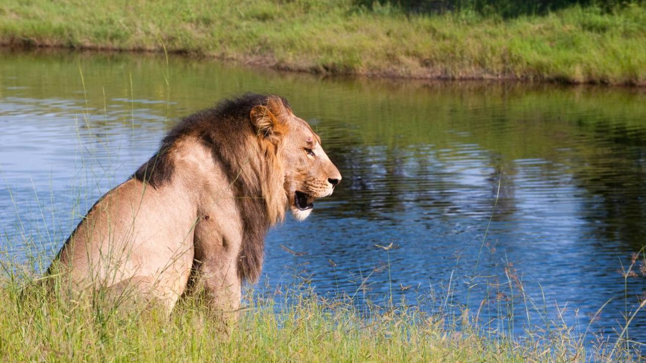 Chobe Marina Lodge Касане Экстерьер фото