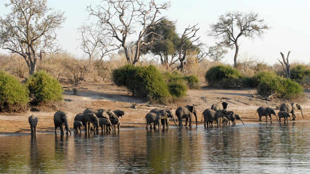 Chobe Marina Lodge Касане Экстерьер фото