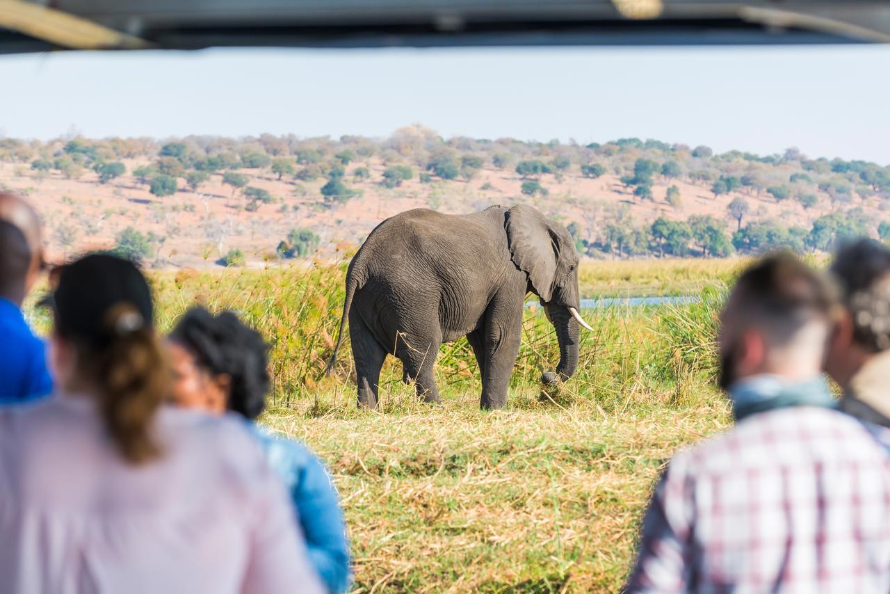 Chobe Marina Lodge Касане Экстерьер фото