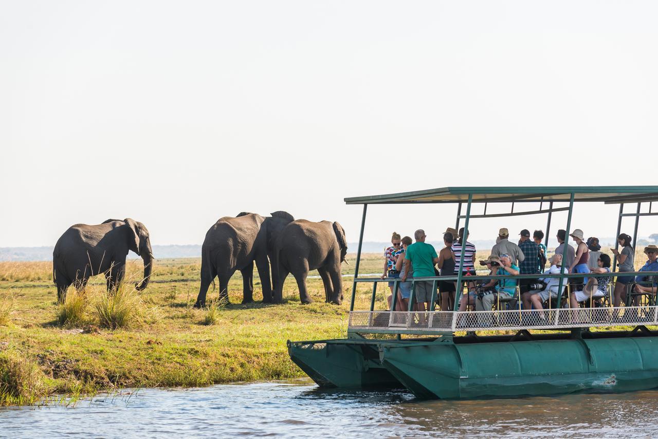 Chobe Marina Lodge Касане Экстерьер фото